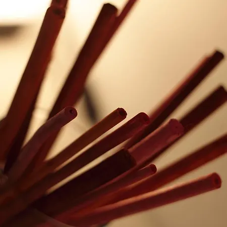 Dimoras House 2* Verona