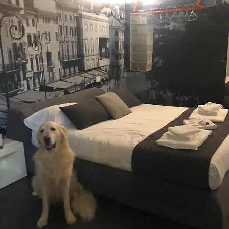 Vendégház Dimoras House 3*