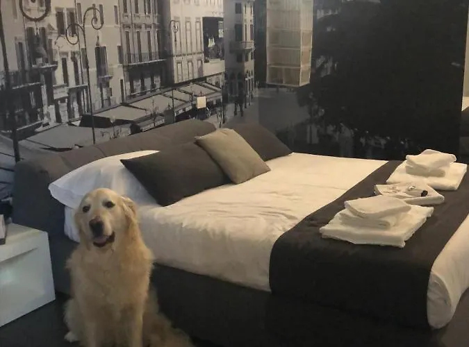 Gæstehus Dimoras House 3*