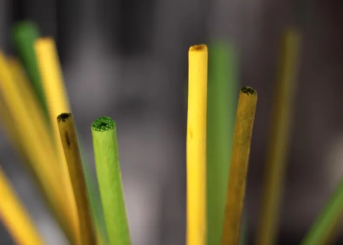 Affittacamere Dimoras House Verona